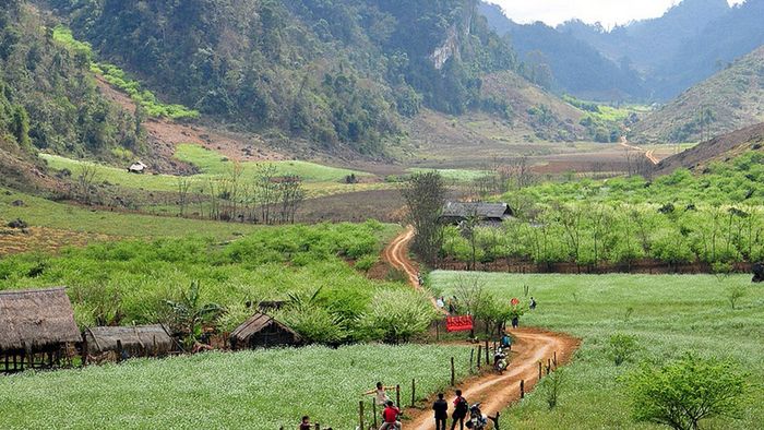 Gợi ý kế hoạch du lịch Mộc Châu 3 ngày 2 đêm tự túc chi tiết nhất 2