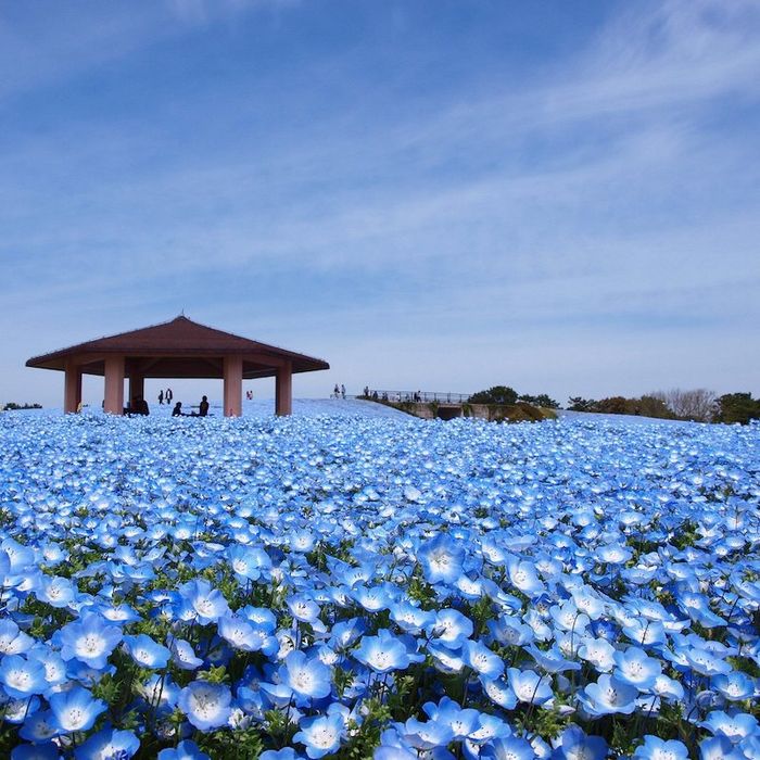 Top 12 điều nhất định phải làm ở Fukuoka, tín đồ xê dịch đừng bỏ qua 9