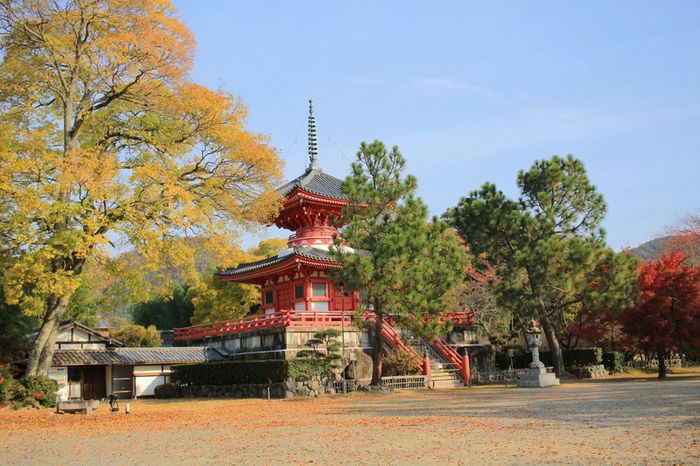 Arashiyama là nơi hội tụ những viên ngọc tự nhiên tại Kyoto số 11