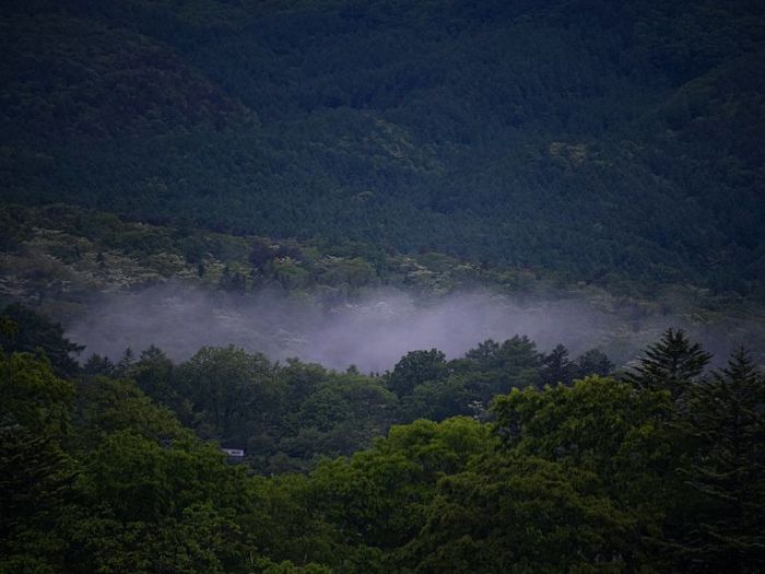 Khám phá Karuizawa, thiên đường nghỉ mát mùa hè của Nhật Bản 2