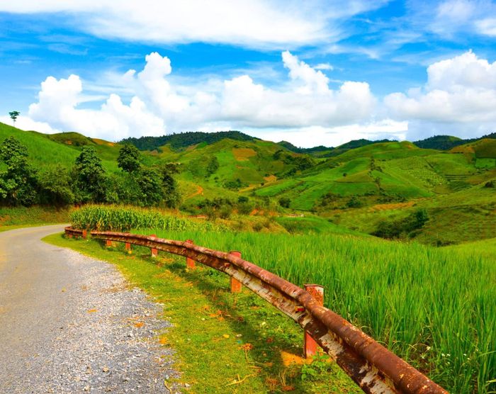 Hướng dẫn chi tiết Kinh nghiệm săn mây trên đỉnh Pha Luông