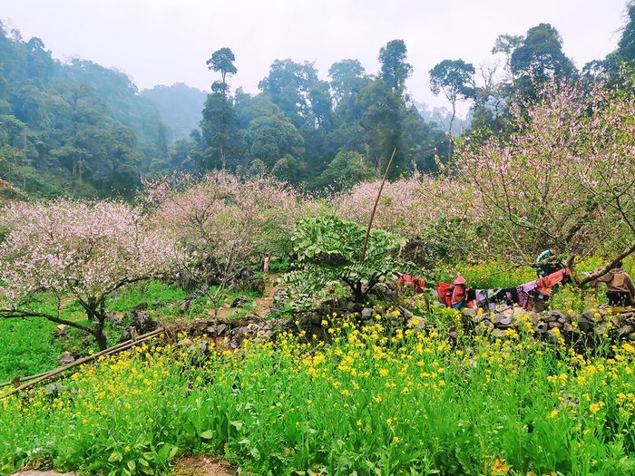 Bản Tân Lập - Hình trái tim của tình yêu