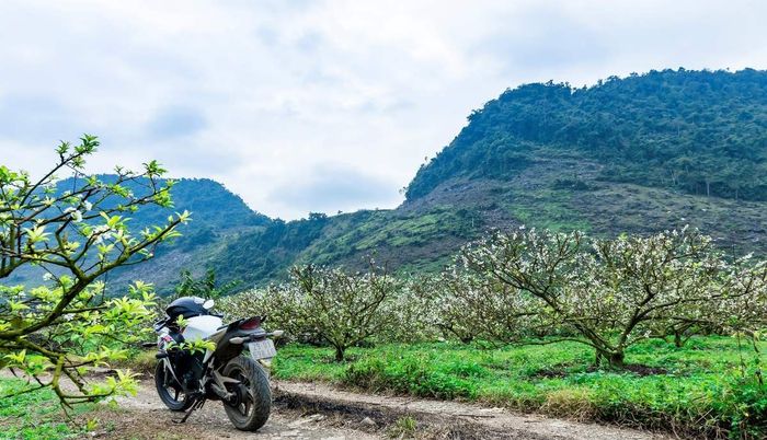 Chỉ dẫn cho những bước chân đam mê khám phá Mộc Châu 8