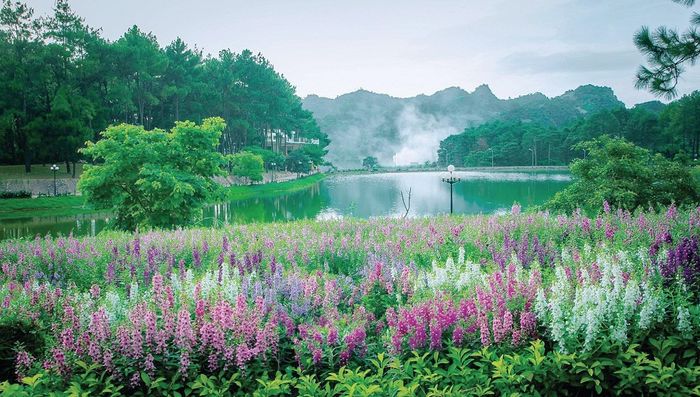 Kế hoạch du lịch Mộc Châu 2 ngày cuối tuần gợi ý cho bạn 4