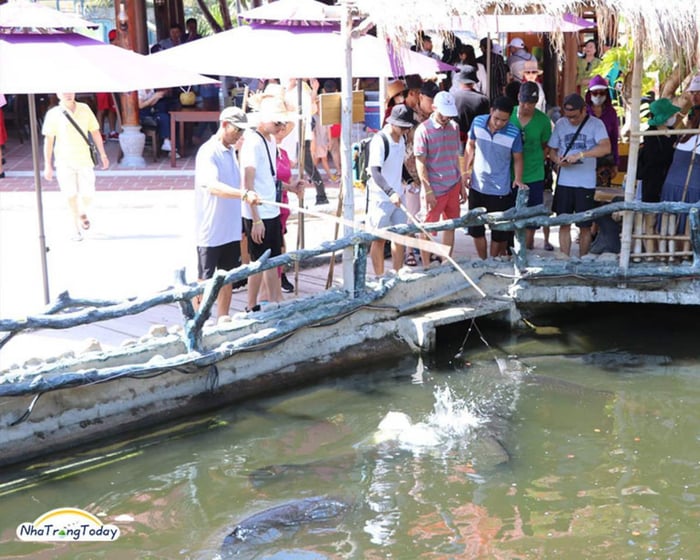 Lạc vào Thủy cung Trí Nguyên Nha Trang thu nhỏ giữa thành phố biển 8