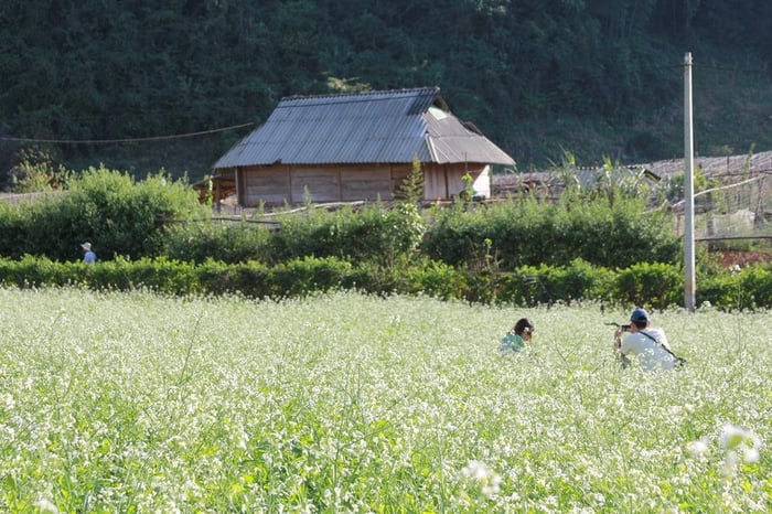 Kinh nghiệm khám phá bản Pa Phách thơ mộng 7