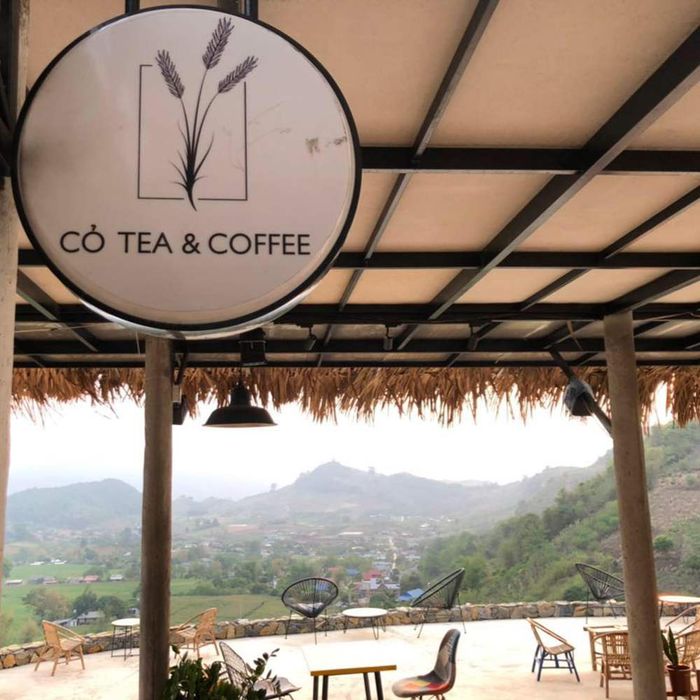 Cỏ Tea & Coffee - Thưởng thức cà phê giữa lưng chừng đồi 2