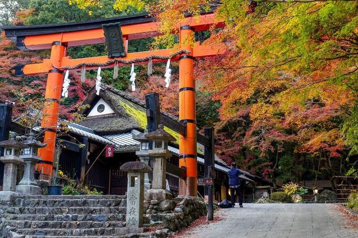 Arashiyama là nơi tập trung những viên ngọc tự nhiên tại Kyoto 12