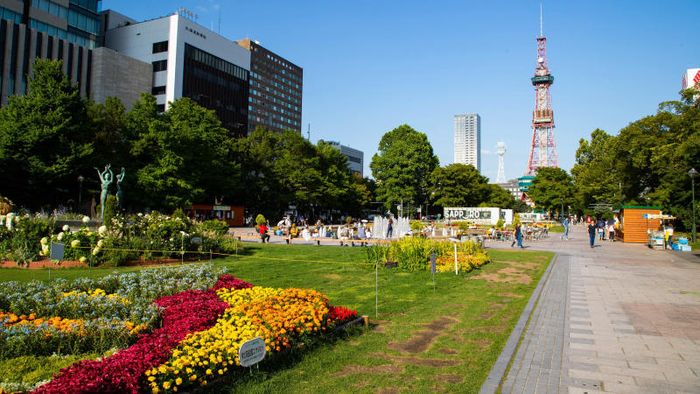 Đánh giá chuyến du lịch Sapporo Hokkaido Nhật Bản đẹp và thú vị