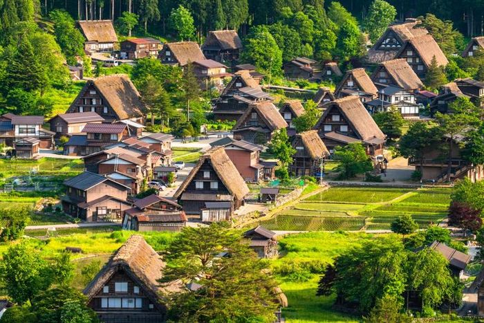 Làng cổ Shirakawa-go, một điểm đến mê hoặc trong mùa tuyết trắng 3