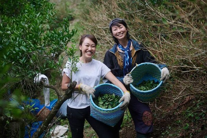 Kamikatsu - một thị trấn không rác thải, hoà mình với thiên nhiên ở Nhật Bản