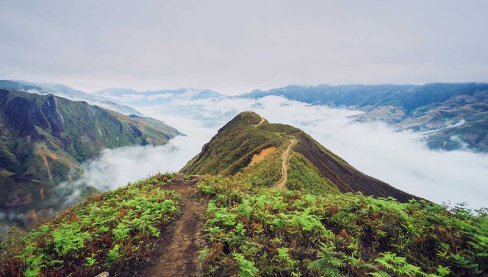 Những gợi ý lịch trình Tà Xùa - Mộc Châu 2 ngày 1 đêm sẽ khiến bạn thích thú