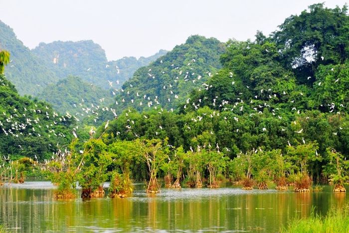 Hành trình du lịch Ninh Bình 4 ngày khám phá di sản Cố đô Hoa Lư