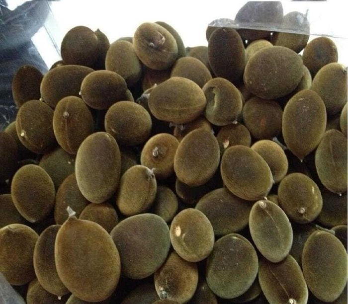 8 món đặc sản Ninh Thuận với hương vị thơm ngon đặc trưng