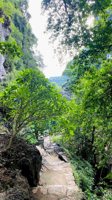 Tam Cốc Bích Động Ninh Bình - Phong cảnh thơ mộng đúng với danh hiệu 'Nam thiên đệ nhị động' 17