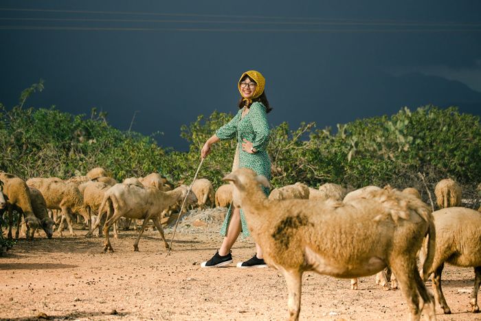 Đánh giá đồng cừu An Hòa: lạc vào cuộc sống du mục giữa thảo nguyên