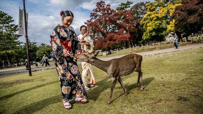 Kansai, vùng đất của truyền thống và văn hóa ở Nhật Bản 22