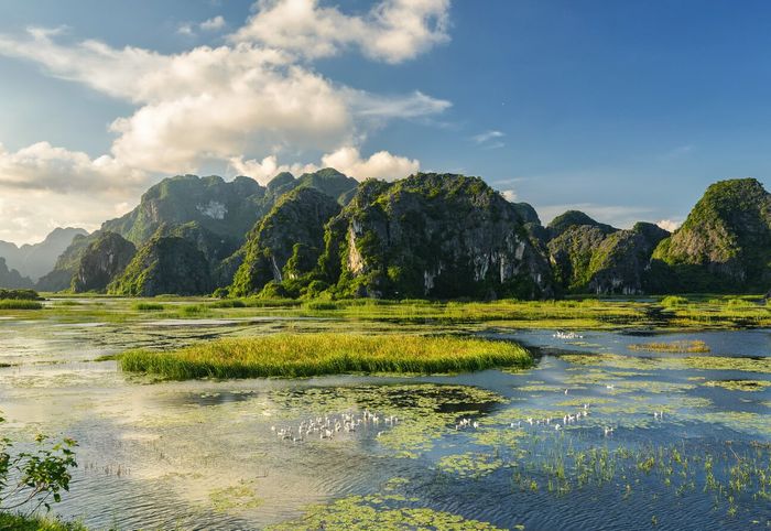 Mẹo du lịch cộng đồng Vân Long – Vịnh yên bình không sóng