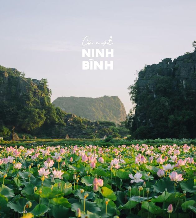 Dạo chơi Ninh Bình tận hưởng không gian bình yên