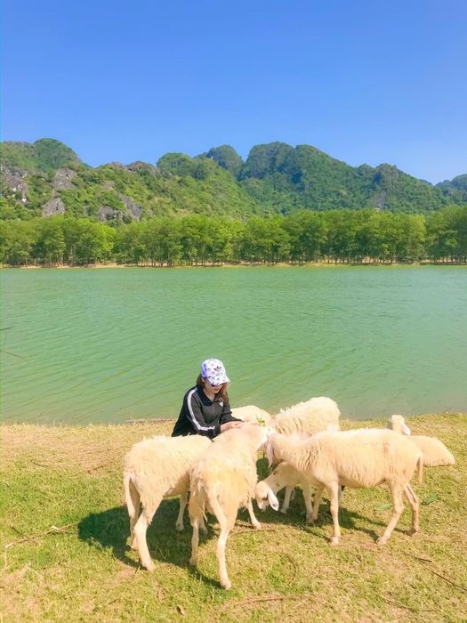 Đánh giá chuyến đi Ninh Bình 1 ngày từ Thái Bình với chi phí siêu tiết kiệm 6