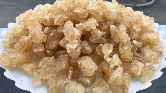 8 món đặc sản Ninh Thuận với hương vị thơm ngon đặc trưng