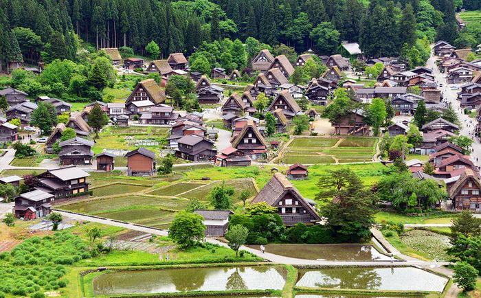 Gifu Nhật Bản: Sự hoà quyện giữa vẻ đẹp tự nhiên và di sản lịch sử 2