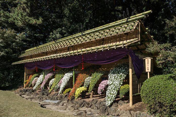 Vườn Quốc gia Shinjuku Gyoen tạo nên sự tương phản đặc biệt giữa sự sầm uất của Tokyo hiện đại