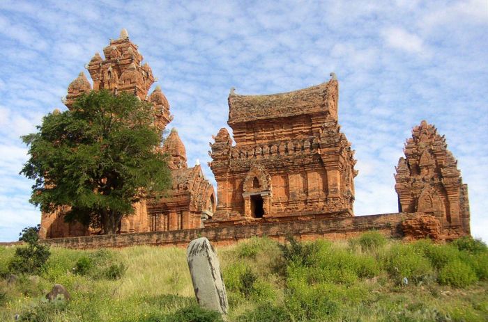 Mọi kinh nghiệm du lịch Phan Rang giá rẻ đều được tóm gọn ở đây, đầy đủ và chi tiết nhất 2