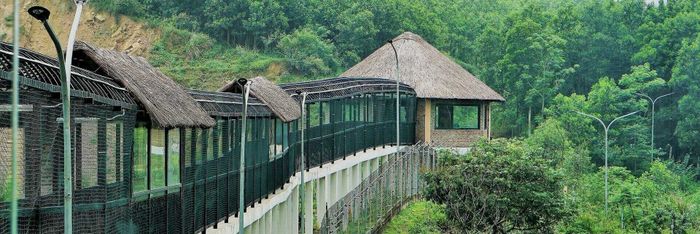 Cơ sở bảo tồn gấu Ninh Bình: Điểm đến thú vị cho những người yêu thiên nhiên và động vật hoang dã