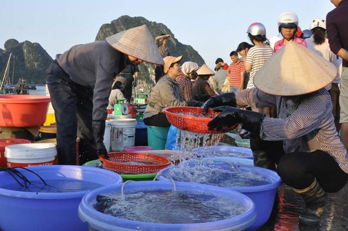 Bỏ túi Kinh nghiệm du lịch Phan Thiết: Sự trải nghiệm mới mẻ cho những tâm hồn mê phiêu lưu