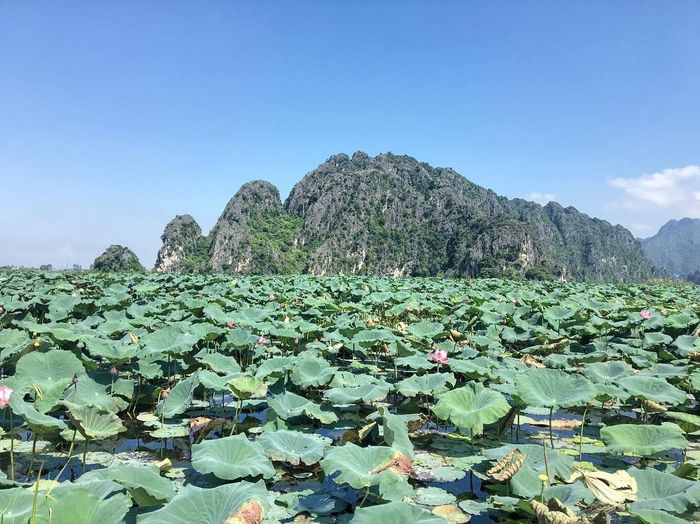 Những kinh nghiệm đặc biệt khi du lịch cộng đồng Vân Long – Nơi yên bình không sóng