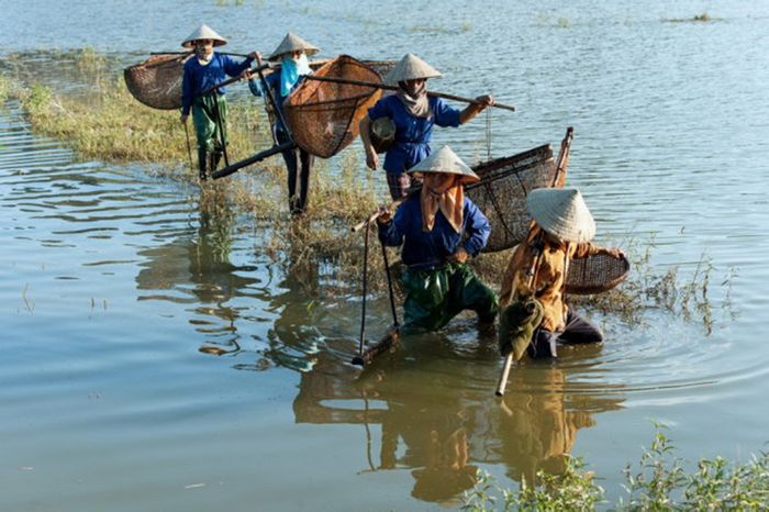 Mắm tép Gia Viễn - Đặc phẩm ẩm thực của Ninh Bình 6