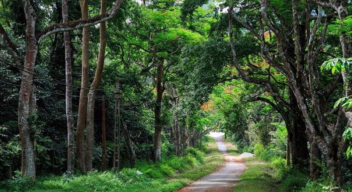 Hành trình khám phá Ninh Bình trong 4 ngày với Cố đô Hoa Lư