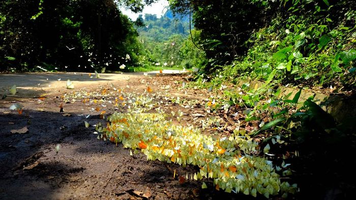 Bí quyết du lịch Ninh Bình với 4 trải nghiệm thú vị không thể bỏ qua