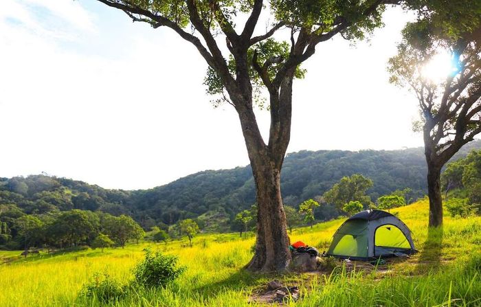 Bí quyết trekking Núi Chúa tự túc sẽ giúp bạn khám phá những điều mới lạ!