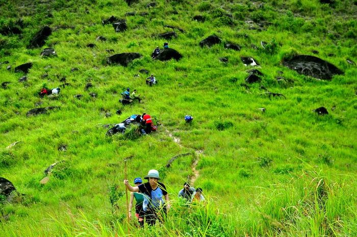 Đề xuất kế hoạch Trekking Núi Chúa 2 ngày 2 đêm từ A đến Z 6