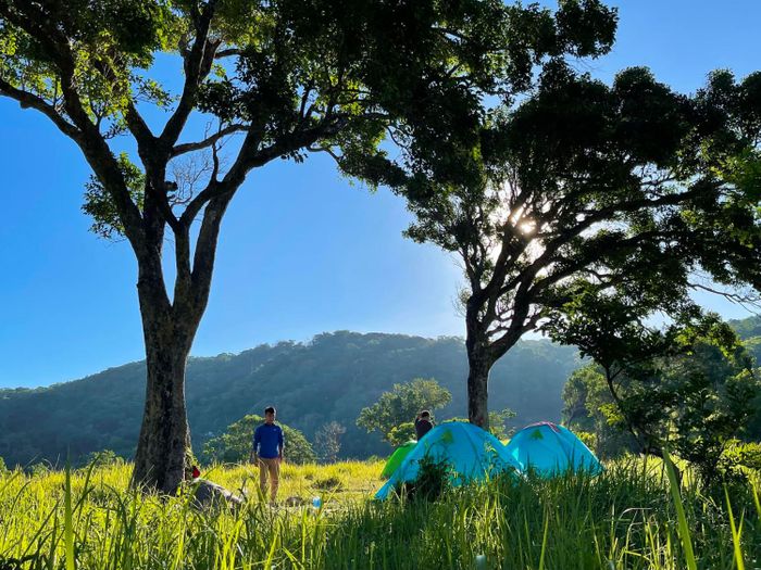 Hành trình Trekking Núi Chúa trong 2 ngày 1 đêm, bạn nên tham khảo lịch trình số 7 này