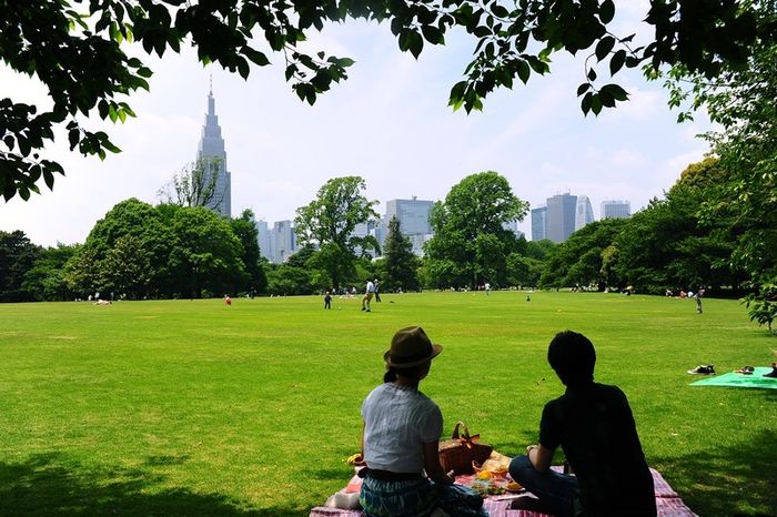 Vườn Quốc gia Shinjuku Gyoen tạo ra một sự tương phản đặc biệt giữa sự hối hả của Tokyo hiện đại