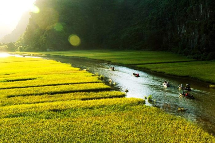 Ghi chép kinh nghiệm khám phá mùa vàng Tam Cốc 3