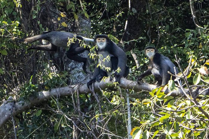 Review chuyến trekking Núi Chúa Ninh Thuận đã trải nghiệm một lần là chỉ có mê 7