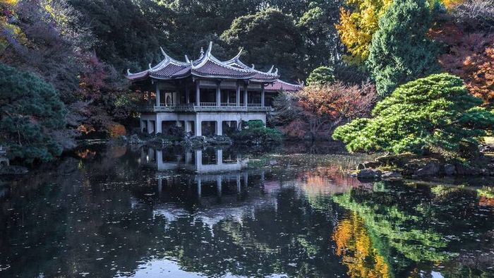 Vườn Quốc gia Shinjuku Gyoen tạo ra một sự tương phản đặc biệt giữa sự hối hả của Tokyo hiện đại