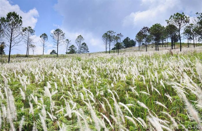 Kinh nghiệm du lịch Ninh Bình mùa nào đẹp nhất? 9