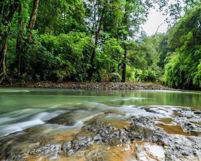 Khám phá Vườn Quốc Gia Phước Bình - điểm đến du lịch mới lạ và thú vị