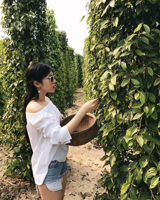 Lịch trình đầy đủ cho chuyến đi 4 ngày 3 đêm tại Ninh Bình dành cho bạn.