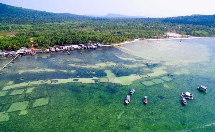 Đến với Rạch Vẹm, bạn sẽ không chỉ được chiêm ngưỡng vẻ đẹp của san hô mà còn khám phá làng chài hoang sơ, thưởng thức hải sản tươi ngon và hiểu thêm về cuộc sống hàng ngày của người dân địa phương.