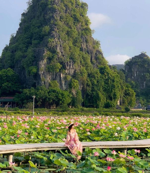 Đầm sen Hang Múa, tuyệt phẩm dưới chân núi Ngọa Long 2