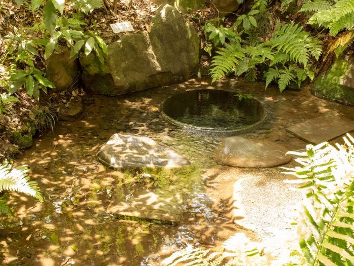 Khám phá ngôi đền Meiji Jingu linh thiêng của Nhật Bản