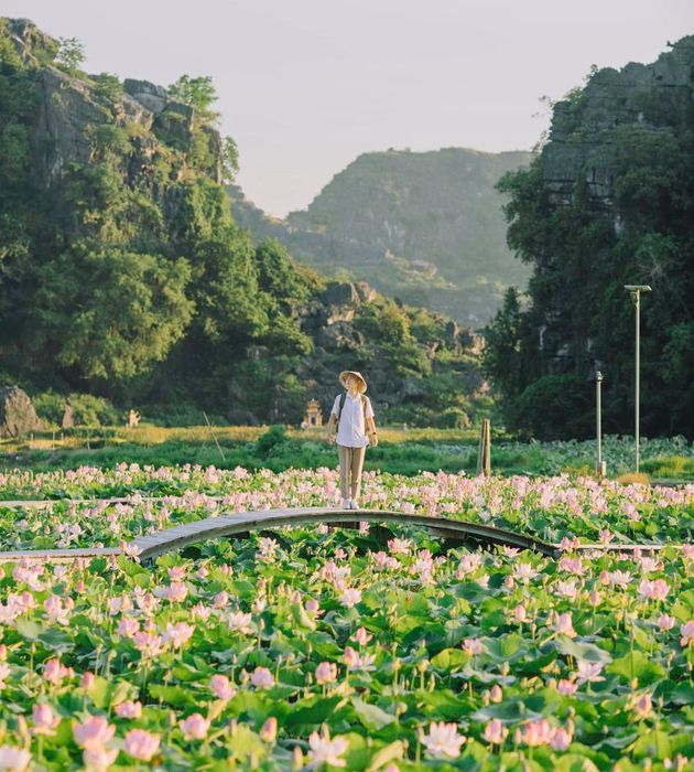 Dạo chơi Ninh Bình tận hưởng không gian yên bình