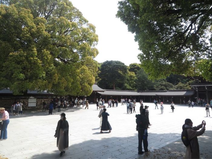 Khám phá ngôi đền Meiji Jingu linh thiêng của Nhật Bản