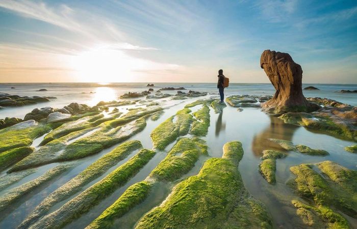 Bãi đá Cổ Thạch là điểm đến lý tưởng để khám phá với sự đa dạng màu sắc, thu hút mọi du khách